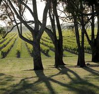 Henry's Drive Vignerons - Your Accommodation