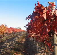 Kooyonga Creek Wines - Your Accommodation