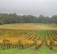 Boat O'Craigo Wines - Your Accommodation