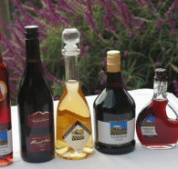 Hartzview Vineyard Heritage Pickers Hut Village - Your Accommodation