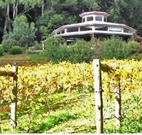 Peveril Vineyard/Beechy Berries - Your Accommodation