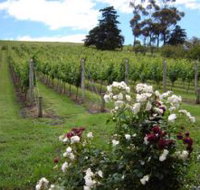 Pembroke Estate Vineyard - Your Accommodation