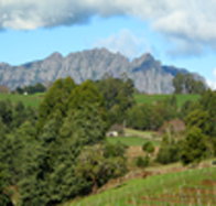 Lake Barrington Vineyard - Your Accommodation