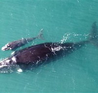 Fazshot Photography - Your Accommodation