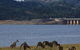 Inland Waters Holiday Parks Wyangala Waters - thumb 3