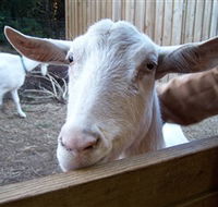 Drysdale Cheeses - Your Accommodation