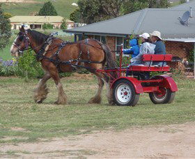 Bathurst Farm Experience - Your Accommodation 3
