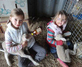 Bathurst Farm Experience - Your Accommodation 4