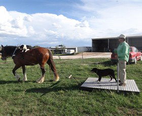 Bathurst Farm Experience - Your Accommodation 7