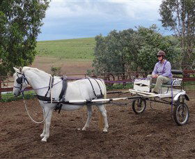 Bathurst Farm Experience - Your Accommodation 8
