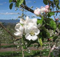 Mouat's Farm - Your Accommodation