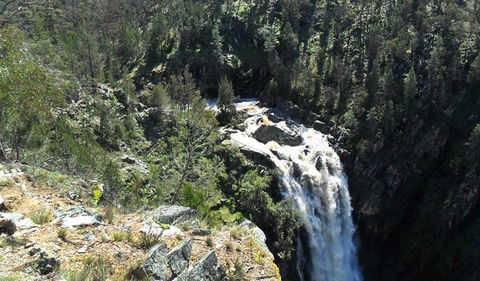 Grove Creek Falls Walking Track - Your Accommodation 0