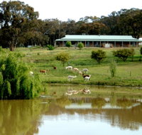 Clearview Alpacas - Your Accommodation