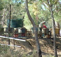 7 Oaks Sapphire Fossicking - Your Accommodation