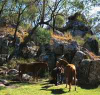 Coomba Falls - Your Accommodation