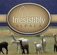 Marchmont Park Alpacas - Your Accommodation