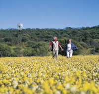 Koolanooka Springs - Your Accommodation