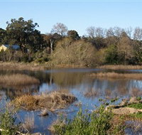 Coolart Wetlands and Homestead - Your Accommodation