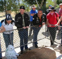 Fossil Rock - Your Accommodation