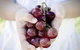 Granitevale  Estate Winery - thumb 0