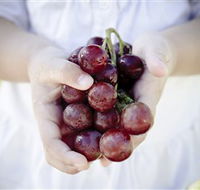 Granitevale  Estate Winery