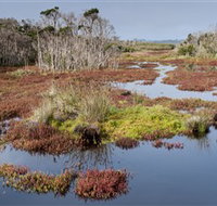 French Island National Park - Your Accommodation