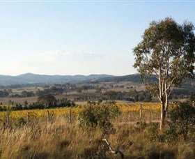 Yarrh Wines - Your Accommodation 0