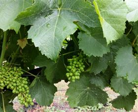 Kerralee Wines - Your Accommodation 1