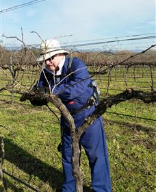 Kerralee Wines - Your Accommodation 3