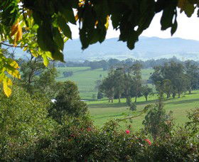 Brandy Creek Wines & View Cafe - Your Accommodation 5