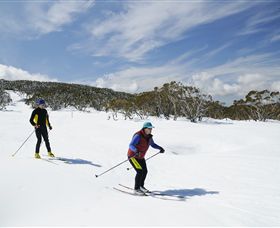 Mt Baw Baw Alpine Resort - Your Accommodation 2