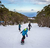 Mt Baw Baw Alpine Resort - Your Accommodation