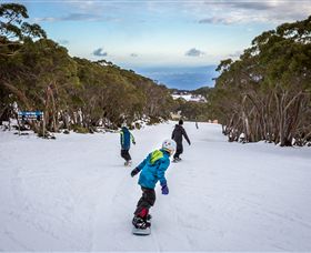 Mt Baw Baw Alpine Resort - Your Accommodation 0