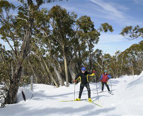 Mt Baw Baw Alpine Resort - Your Accommodation 4