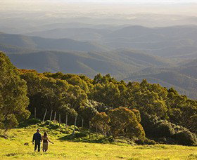 Mt Baw Baw Alpine Resort - Your Accommodation 6