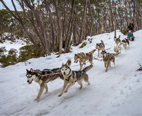 Mt Baw Baw Alpine Resort - Your Accommodation 5