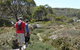 Mt Baw Baw Alpine Resort - thumb 7