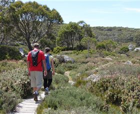 Mt Baw Baw Alpine Resort - Your Accommodation 7
