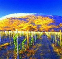 Surveyors Hill Winery - Your Accommodation
