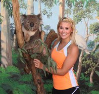Maru Koala and Animal Park - Your Accommodation