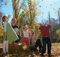 Cotter Avenue recreation area - Your Accommodation