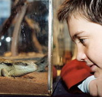 Canberra Reptile Zoo - Your Accommodation