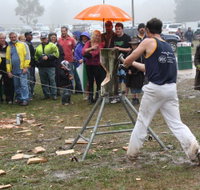 Lockyers Road Walking Track - Your Accommodation