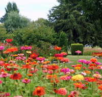 Alma Park - Your Accommodation