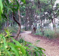 Mount Mutton Walking Trail - Your Accommodation