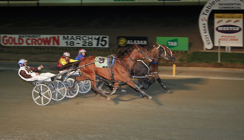 Bathurst Harness Racing Club - Your Accommodation 3