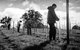 Clonakilla Wines - thumb 4