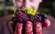 Clonakilla Wines - thumb 6