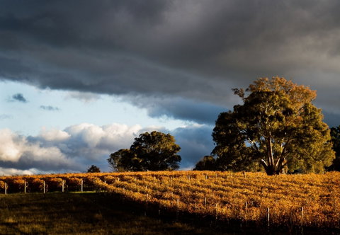 Clonakilla Wines - Your Accommodation 8