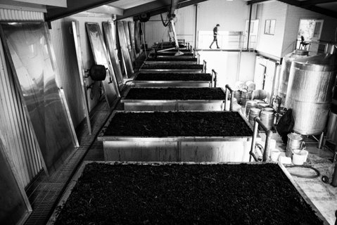 Clonakilla Wines - Your Accommodation 9